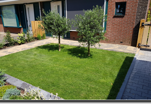 Overkapping met berging van grenen met zwarte potdeksel planken en witte up and down verlichting