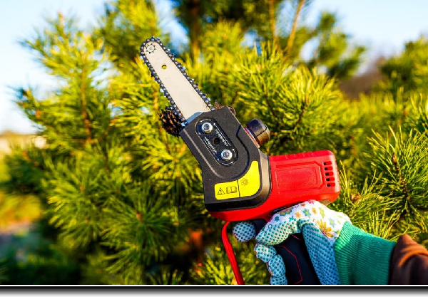 How Outside Lighting can Transform Your Summer Garden