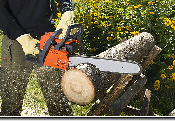 Een tuin met gaasschermen, schutting en houten overkapping