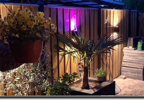 Betonschutting antraciet met up and down buitenlampen aan grenen tuinschermen.